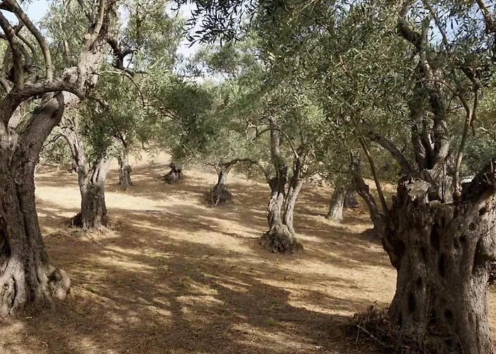 Apolovesea * Megali Ammos (Skiathos)